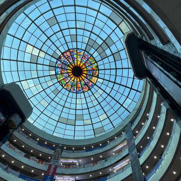 Meet your Posher, Rio - Picture 2 of 5